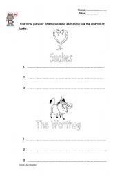 English worksheet: facts about animals