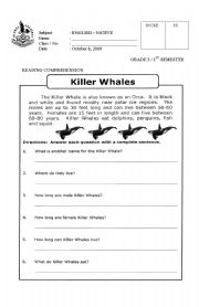 English Worksheet: Reading Comprehension