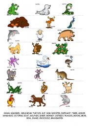 English Worksheet: Animals writing