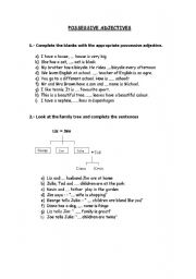 English Worksheet: possessive adjectives