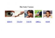 English Worksheet: Learning about our 5 senses