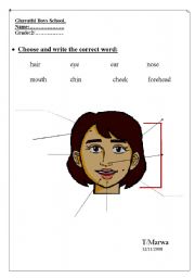 English Worksheet: My face