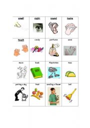 English worksheet: Five Senses Sort