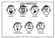 FACIAL EXPRESSIONS