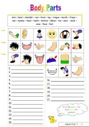 HUMAN BODY -BODY PARTS - PARTS OF THE BODY - 1 face,5 shoulder,9 forearm,13  waist