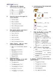 English Worksheet: Exercises on Be, Pronouns, Plurals, Prepositions, Some, Any, A/AN, Adjectives, Numbers, Jobs and Places, Vegetables, Time