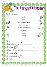 English Worksheet: The Hungry Caterpillar