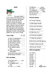 English Worksheet: quiz for elementary students