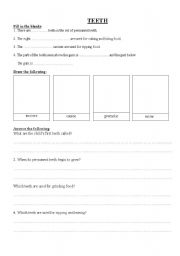 English worksheet: Science - Teeth