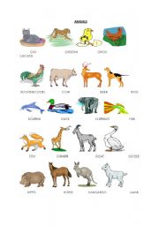 English Worksheet: animals(pictionary)