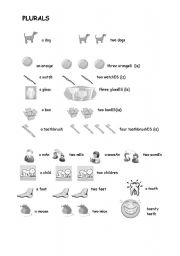 English Worksheet: Plurals