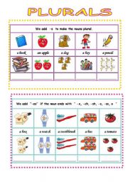 English Worksheet: plural