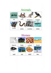 English worksheet: Animals and Their Homes