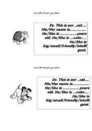 English Worksheet: describe the pet you have