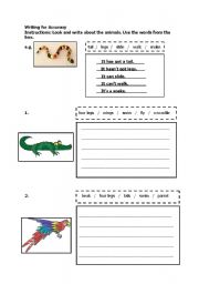 English worksheet: Writing for Accuracy