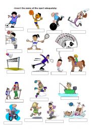 English Worksheet: sports
