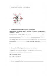 English worksheet: Invertebrates