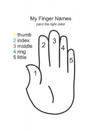 Finger Names