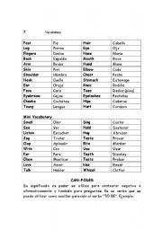 English Worksheet: Can