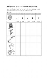 English Worksheet: Five Senses