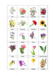 English Worksheet: Flowers Flashcards