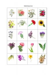 English Worksheet: Flowers - Matching game