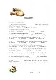 English worksheet: VOCABULARY