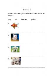 English worksheet: animal