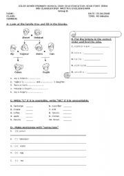 English worksheet: 6th grade exam -  group b