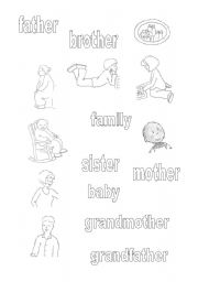 English worksheet: family