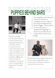 English Worksheet: Puppies behind bars