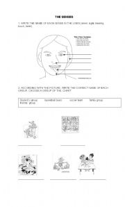 English worksheet: The senses