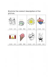 English worksheet: Cold or Hot