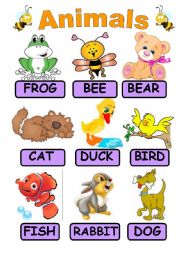 English Worksheet: ANIMALS