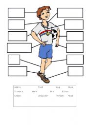 English Worksheet: Body parts labelling worksheet
