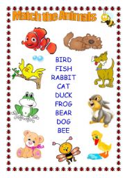 English Worksheet: ANIMALS 