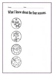 English worksheet: 4 seasons facts