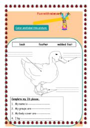 English worksheet: Animals Hbitats