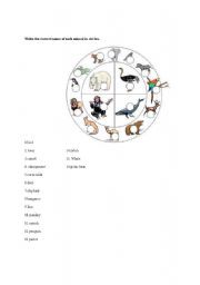 English worksheet: animals vocabulary