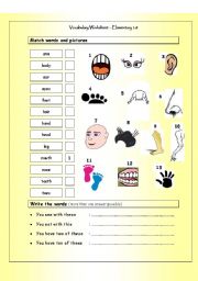 Vocabulary Matching Worksheet - Body Parts (Elementary 1.8)