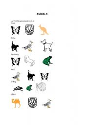 English Worksheet: Animals