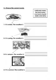 English worksheet: The weather