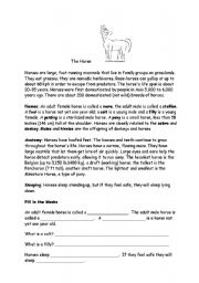 English Worksheet: The horse