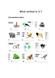 English worksheet: What animal is it?