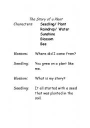 English Worksheet: The Story of a Plant