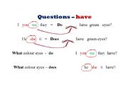 English worksheet: Questions-have