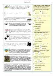 English Worksheet: Elephants