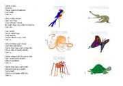 English worksheet: Animal riddles