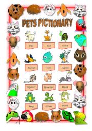 PETS PICTIONARY