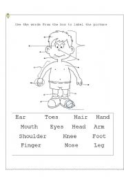 English Worksheet: Body parts III